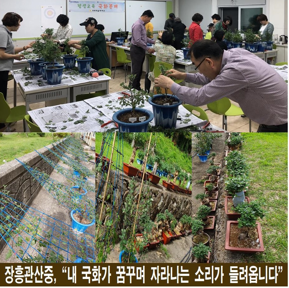 관산중학교 이미지